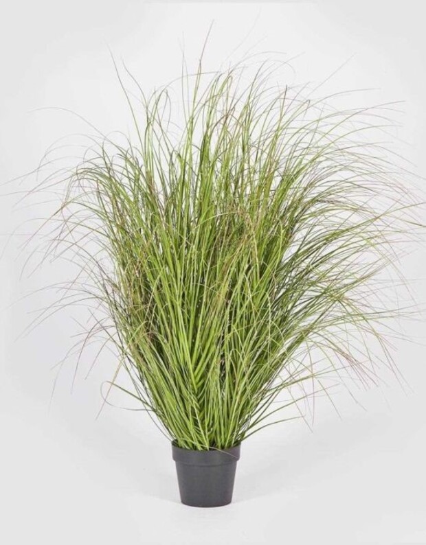 Արհեստական ծաղիկ "Festuca"