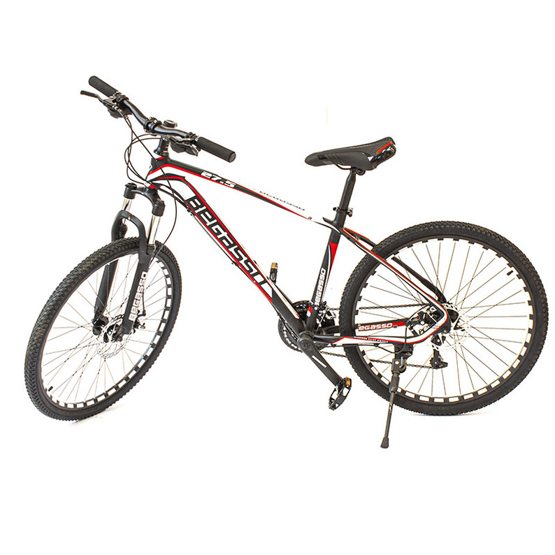 Bike Begasso 26″