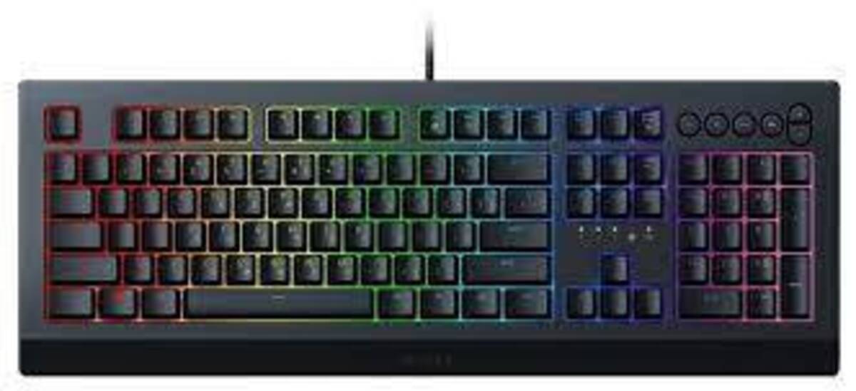 Razer Cynosa V2 RZ03-03400100-R3M1