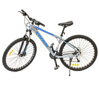 Bike AVIA 29″