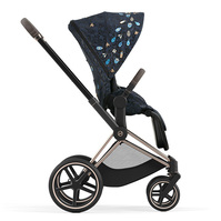 Cybex PRIAM IV FE Jewels of Nature 2 in 1 Cybex PRIAM IV FE Jewels of Nature 2 in 1