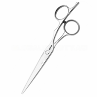 Hairdressing scissors Fame 70060 JAGUAR Silver Line