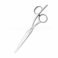 Hairdressing scissors Fame 70055 JAGUAR Silver Line