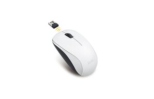 Mouse  Genius NX-7000 White