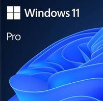 Windows 11 Pro (DVD) բազմալեզու