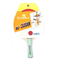 Tennis racket 1 pcs TENEIER