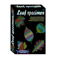 Children's leaf specimen chemical experiment set, little chemist