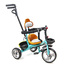 Three-wheeled bicycle with handle 799