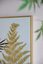 Wall decor Tropical