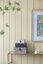 Jewelry box Timeless, medium