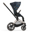 Cybex PRIAM IV FE Jewels of Nature 2 in 1