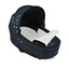Cybex PRIAM IV FE Jewels of Nature 2 in 1