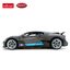 Rastar Bugatti Divo Car RC