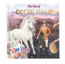 Sticker Book Top Model 12863